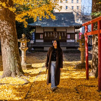 Mizuho / Fussa / Hamura thumbnail