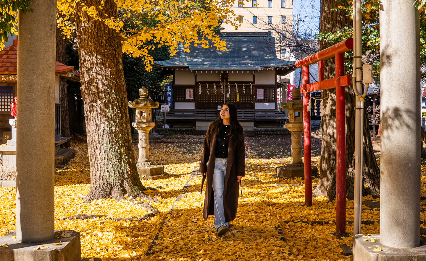 Mizuho / Fussa / Hamura