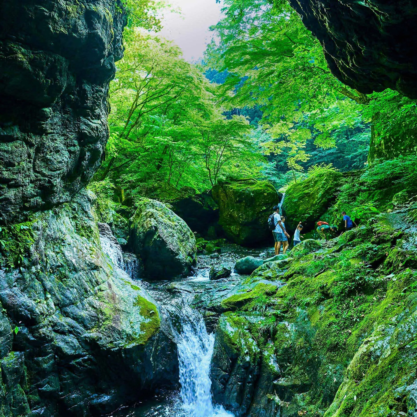 From Forest Trails to Toy Tales: Family Adventures in Hinohara, Tokyo’s Green Hideaway