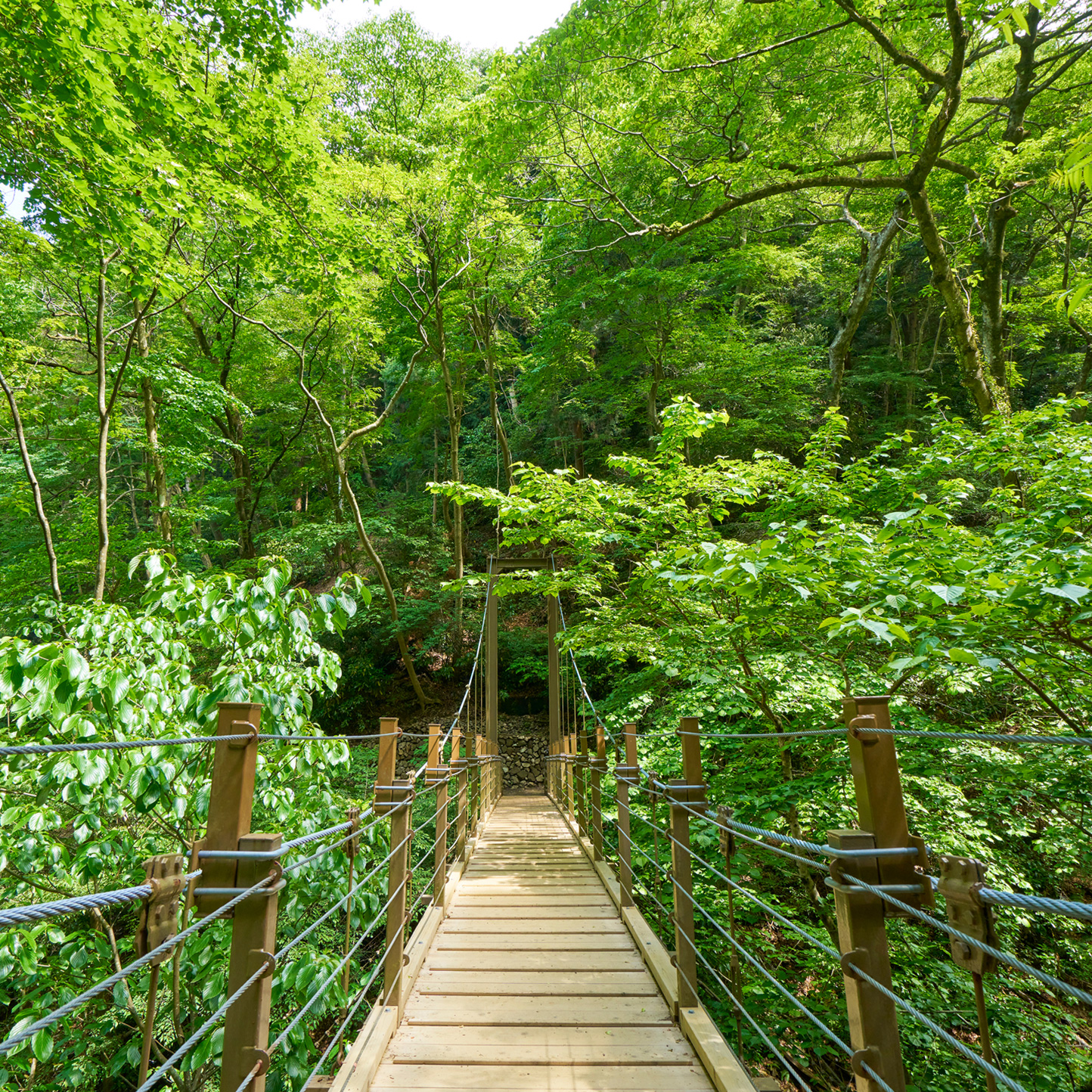 Family Fun in Tokyo’s Tama Region