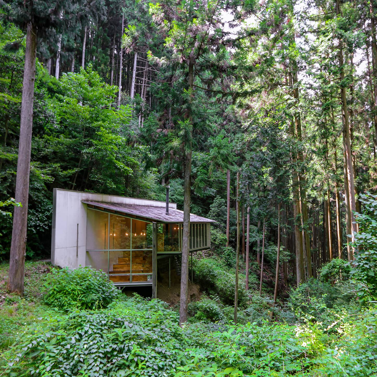 Breathe Deep in<br />
Okutama, Tokyo’s<br />
Forest-Bathing Retreat