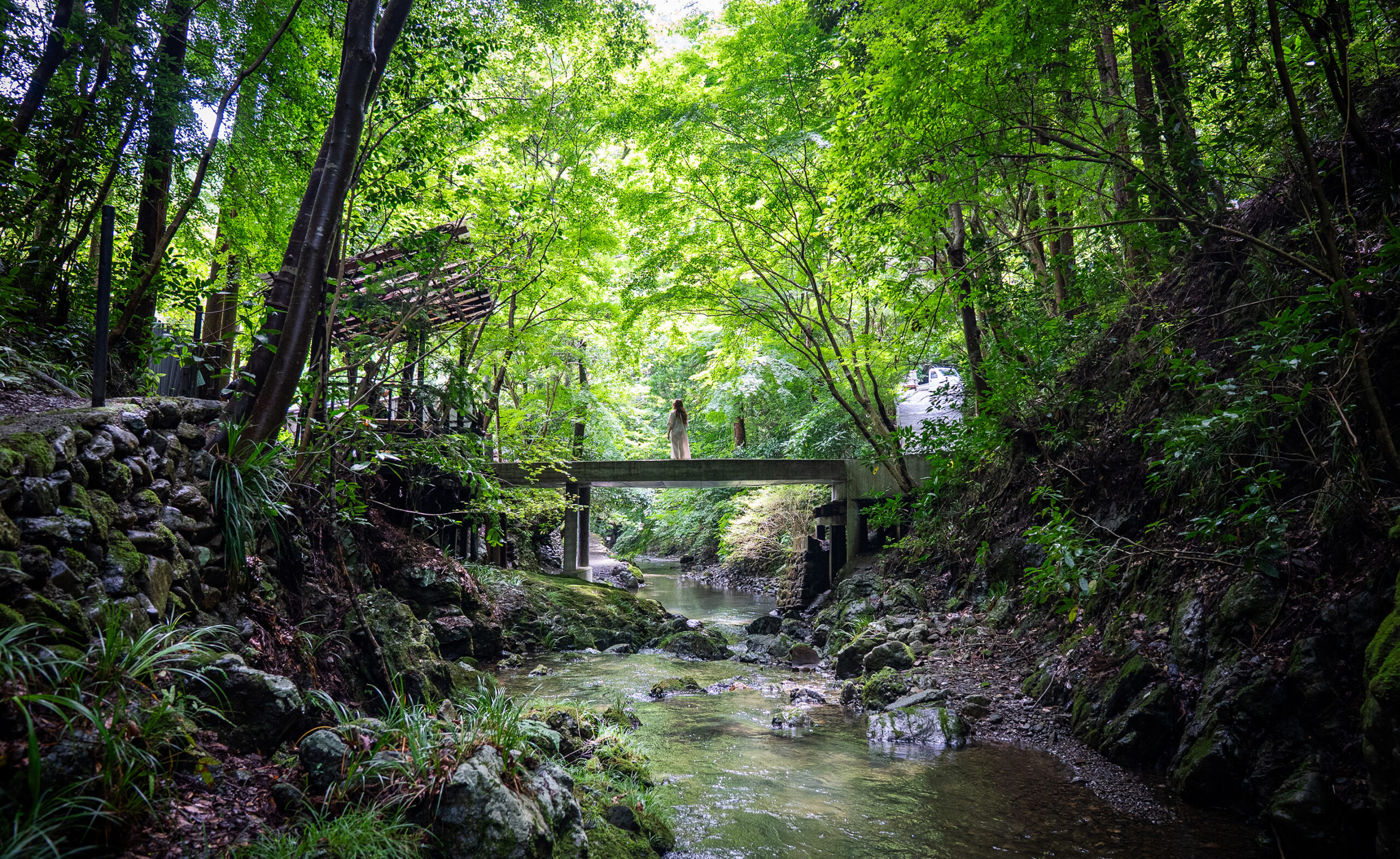 Akiruno / Hinode