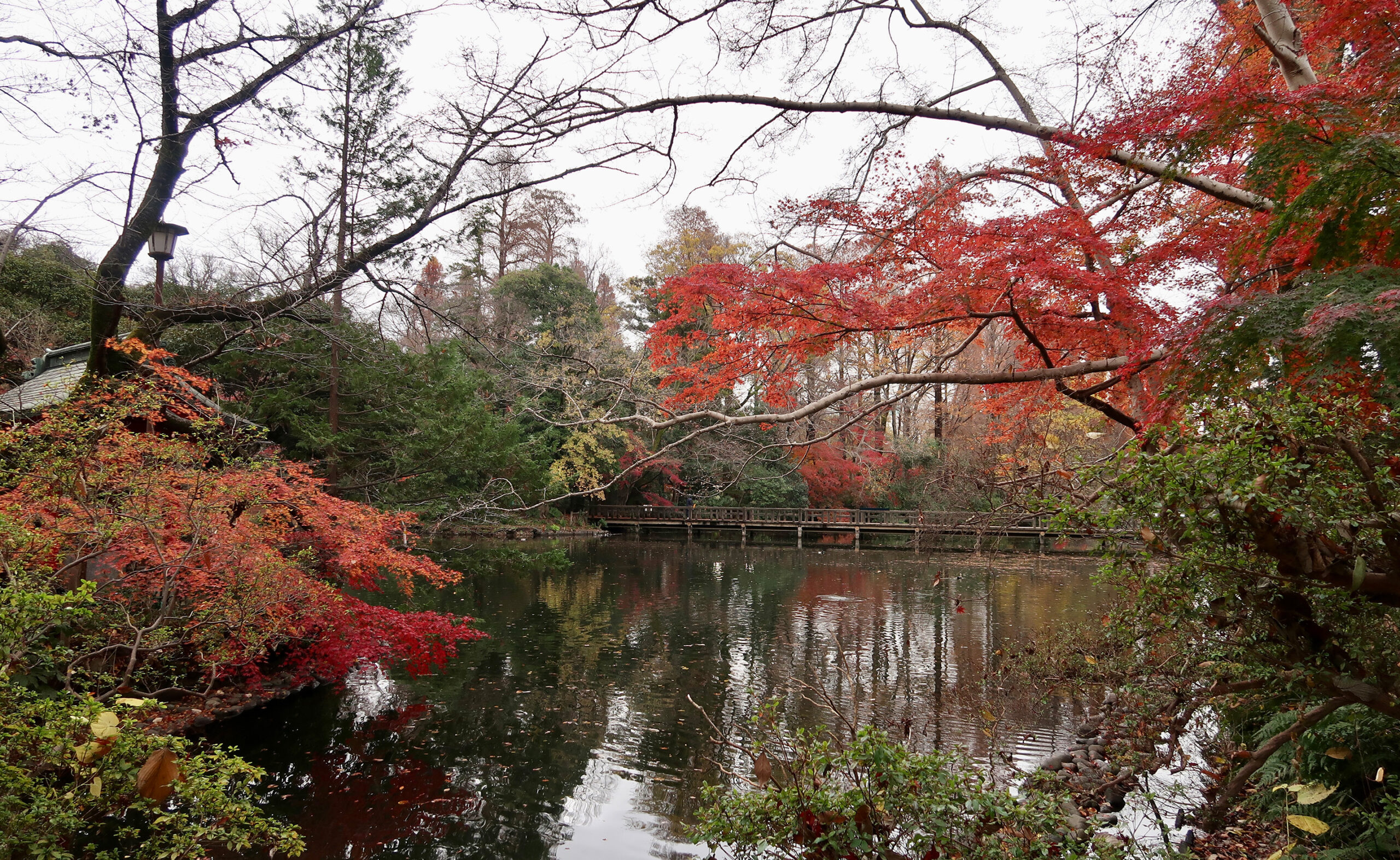 Kita-Tama
