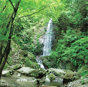 A Day of Exploring Akiruno and Hinohara’s Rivers, Springs, and Waterfalls