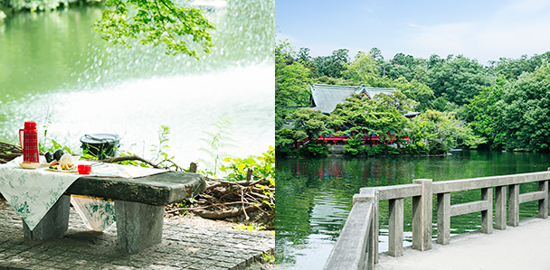 Inokashira Park