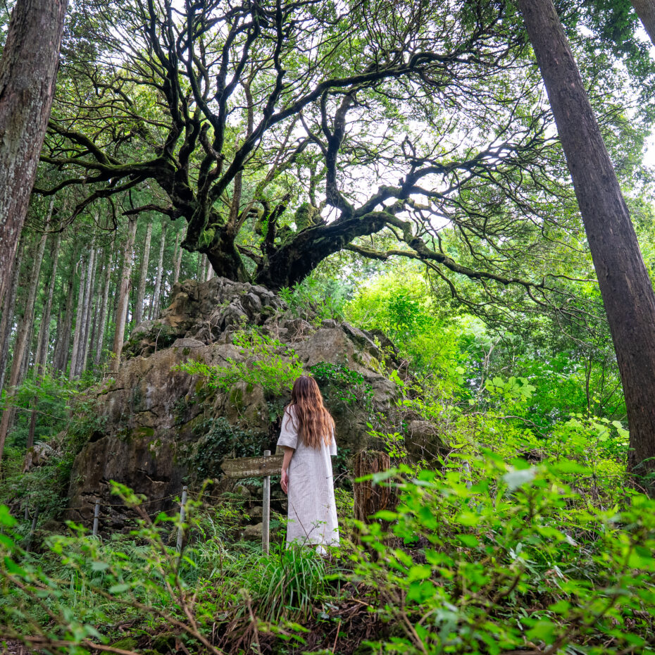 In Search of Tokyo’s Hidden Power Spots: A Journey Through Akiruno and Hinode