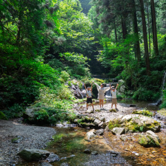 From Forest Trails to Toy Tales: Family Adventures in Hinohara, Tokyo’s Green Hideaway