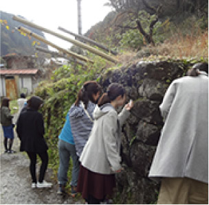 A Walk through Akiruno, Hinode, and Hinohara’s Vibrant Autumn Leaves