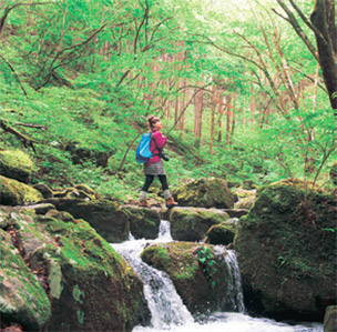 Cleanse your spirit at Rock Garden