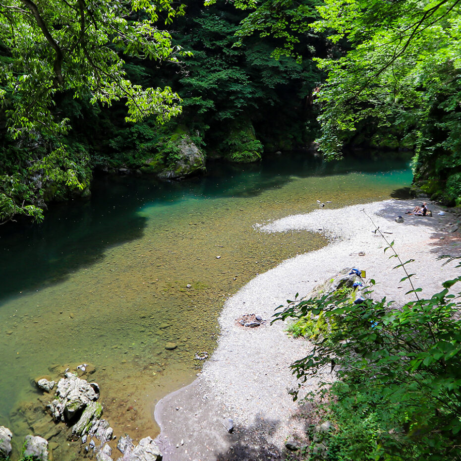 Exploring Tokyo’s Hidden Oasis