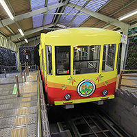 Enjoy Majestic Mt. Takao to the Fullest Along this Golden Route