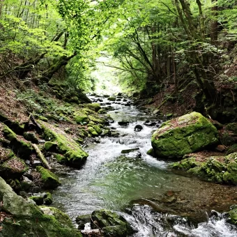 A 2-Day Healing Retreat to Tokyo’s Suburbs: Akiruno and Hinohara