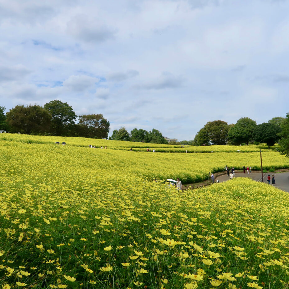 Family Fun in Tokyo’s Tama Region