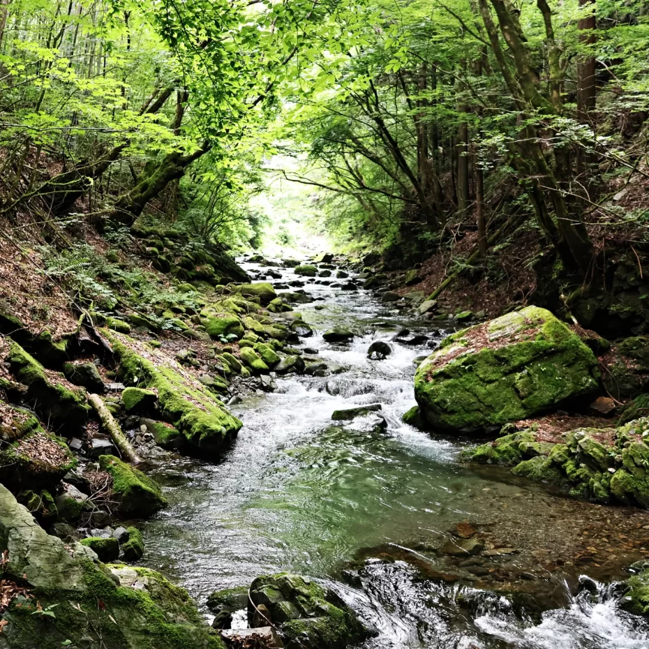 A 2-Day Healing Retreat to Tokyo’s Suburbs: Akiruno and Hinohara