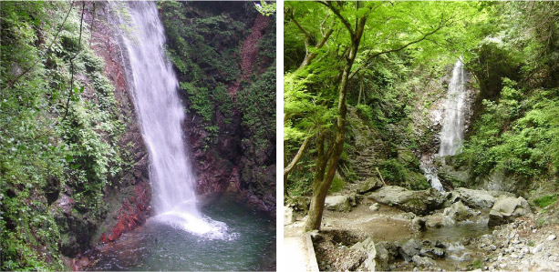 Plan 1: Hossawa Falls (Stroll Around the Area Together)