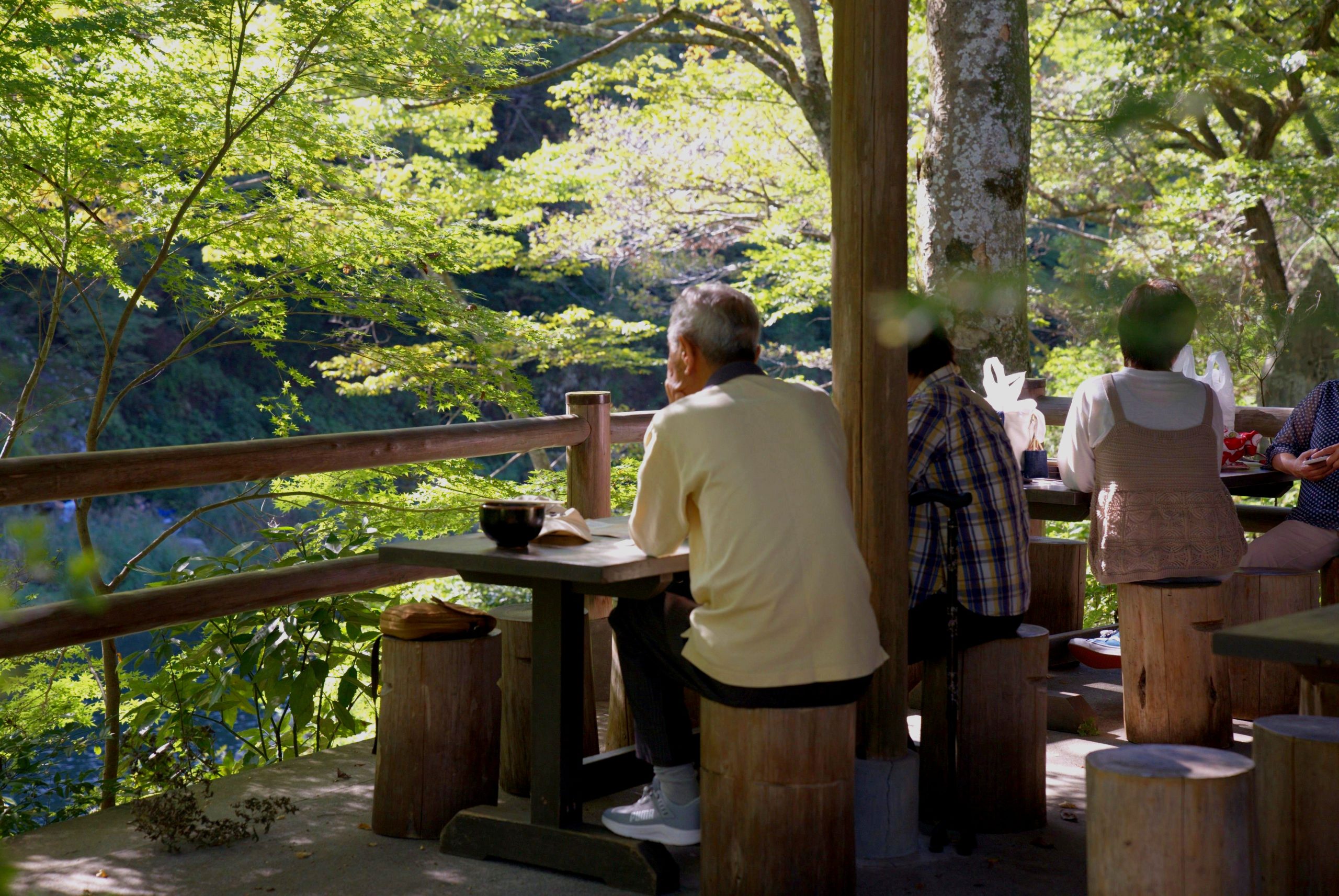 Sawanoien Seiryu Garden